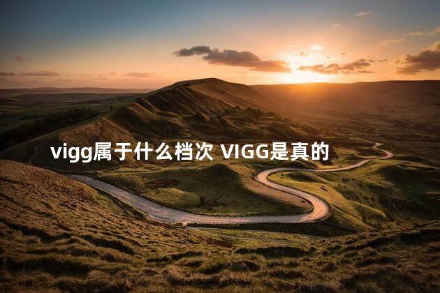 vigg属于什么档次 VIGG是真的银吗